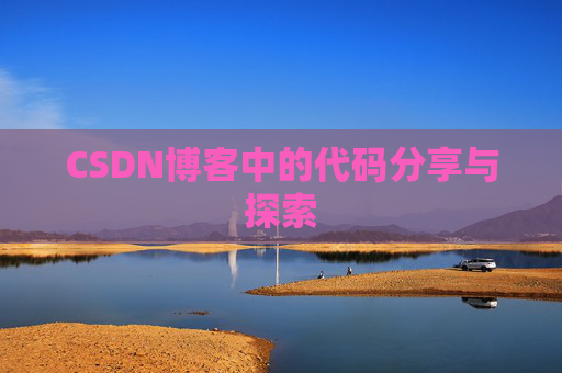 CSDN博客中的代码分享与探索